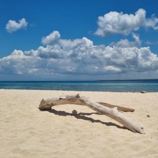 Home Stay Ramli - Bira - 7