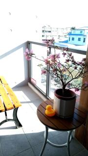 花田葉舍 - Tianwei - 5