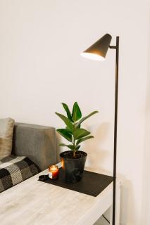 Black&White Нова стильна квартира на Київській - 1