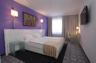 Hotel Phoenix - Sesvete - 9