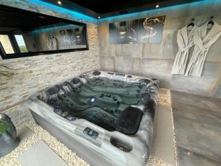 Longère Linaroise & SPA à 15 min du Futuroscope - - 7
