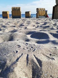 Kajüthus Apartment 5 - 1