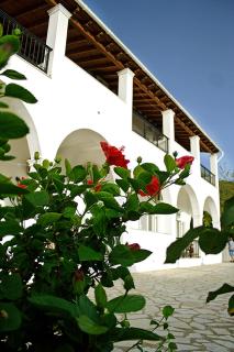 LEFKO - Apartments - Agios Georgios Pagon - 0