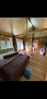 PeaMoo Homestay - 2