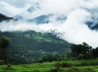 Himalayan Retreat - Pālampur - 5