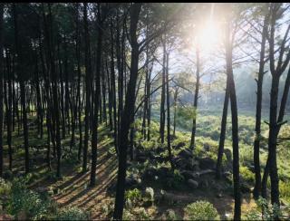 Himalayan Retreat - 4