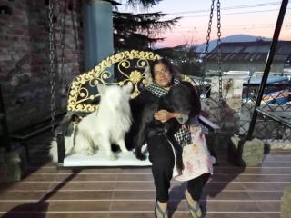 Mehra Cottage - Almora - 8