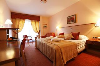 Terme Banovci - Hotel Zeleni Gaj - Banovci - 4