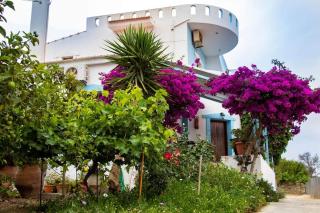 GARDEN HOUSE APARTMENT - Pitsidia - 7