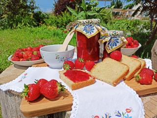 Agroturystyka "Pod Ptasią Górą" - 2