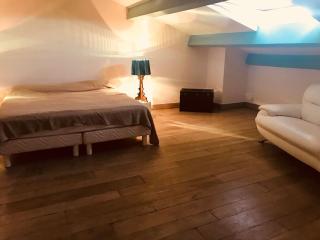 Magnifique triplex face à la Mer - 1