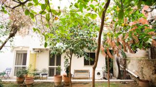 calm and cozy flat with romantic garden - Athens - 3