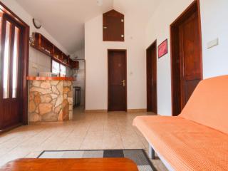 Apartment Kostanjevac - Vir (Puntadura) - 3