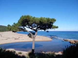 Domaine de la Testa - Sainte-Lucie de Porto-Vecchio - 5