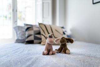 LOS HERMANOS DEL MENTIDERO - Granada - 3