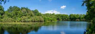 Camping L'Etang D'Ardy *** - Saint-Paul-lès-Dax - 9