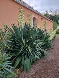 Le logis du marais - Les Magnils-Reigniers - 6