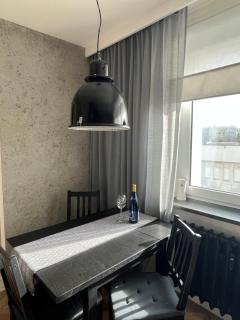Luksusowy loft nad jeziorem Swarzędz - Poznań TV wi-fi pralko-suszarka piekarnik - Swarzędz - 3