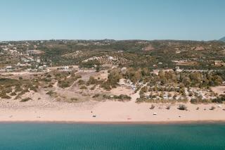 PETRINO FOINIKOUNTA - Finikounta - 2
