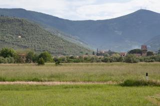 Agriturismo Villa Rosselmini - Calci - 7