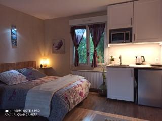 Studio & Gîte Zen de Beauval- 800 m du Zooparc - Seigy - 8