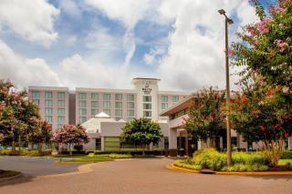 Delta Hotels by Marriott Chesapeake Norfolk - 9