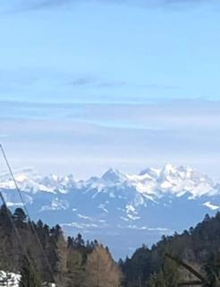 Entire cozy chalet in St-Cergue - 30 min from Geneva - Saint-Cergue - 6