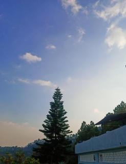 THE REAL PLACE - Almora - 2