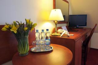 Hotel Czardasz Spa & Wellness - Płock - 9