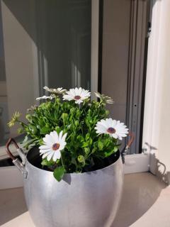 Appartamento Augusta - 1