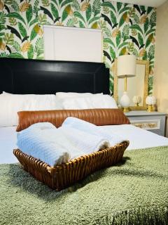 Tropical Casita in Tampa near airport and Raymond James stadium - Tampa - 7