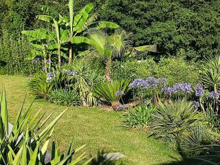 Cosy T2, au calme entre mer et montagnes - 5