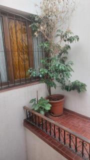 Departamento 226 - Salta - 7