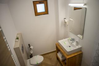 Boga Rooms - Sinaia - 8
