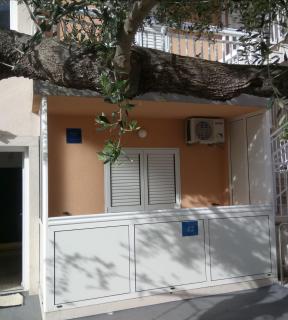 MASLINA - Baška Voda - 4
