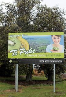 Guest House in Tepuke - 8