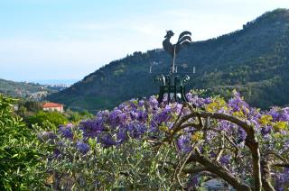 Villa delle Rose - Chiavari - 2