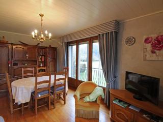 Gîte spacieux à Saulxures-sur-Moselotte: proche lac, pistes de ski, équipements bébé, animaux acceptés - FR-1-589-145 - Saulxures-sur-Moselotte - 1