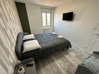 Gite 5 chambres, piscine intérieure, proche du Der - 8