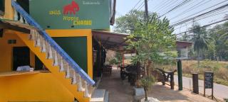 Wild Hippie Chang - - 2