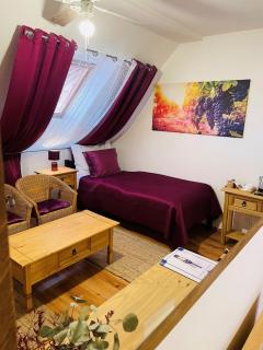 Hotel Marcincak*** - Mikulov - 3