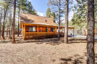 Near Hiking Cabin with Hot Tub in Lakeside! - Lake of the Woods - 6