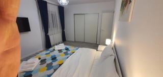 Georg’s Apartment - Şelimbăr - 5