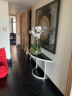Luxury Designer Apartment River view of Parliament Westminster Big Ben. - Londra - 1