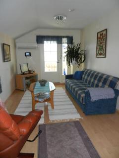 Tupaniemi, kodikas ja tilava asunto 2-4 vieraalle - 1