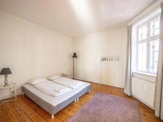 WHITE DOUPLEX CHARM: big flat in the city centre - 1