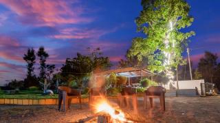 Hatti Eden Coorg - 5