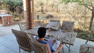 Sonop in Marloth Park - Marloth Park - 5