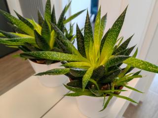 Luxury apartment Private parking self check-in51 - 5