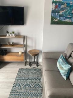 Luxury Mumbles View Studio Apartment - 5